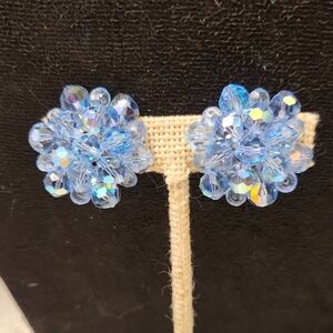 Dazzling Blue Floral Earrings